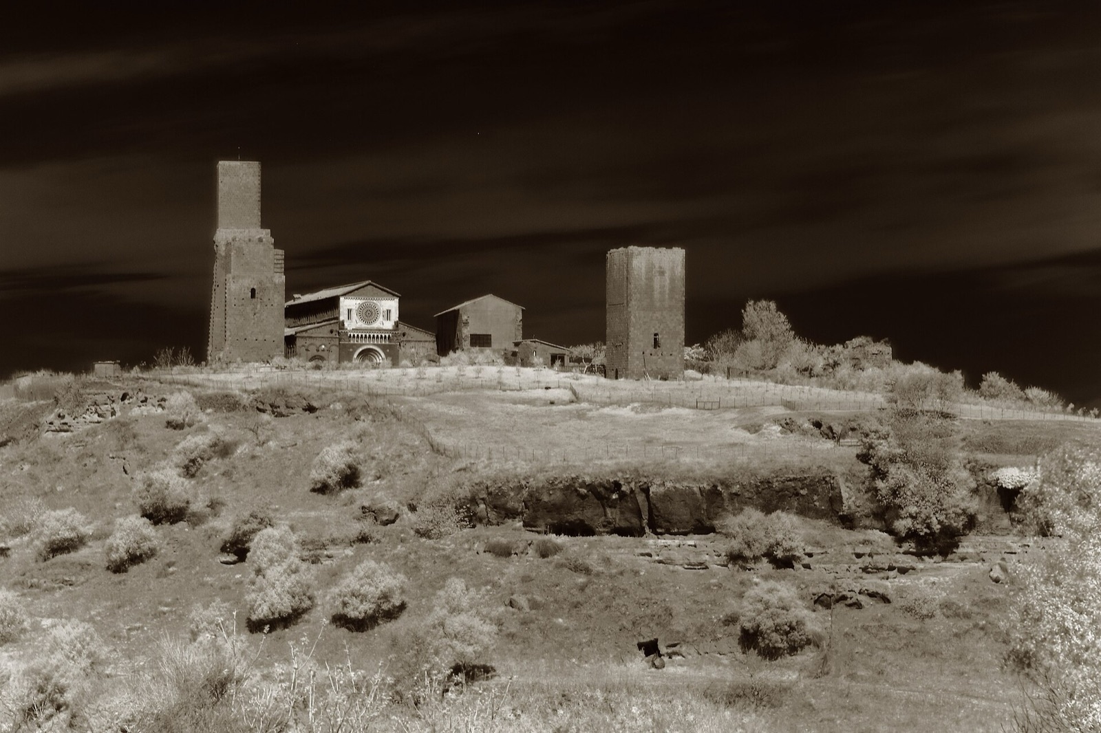 Tuscania