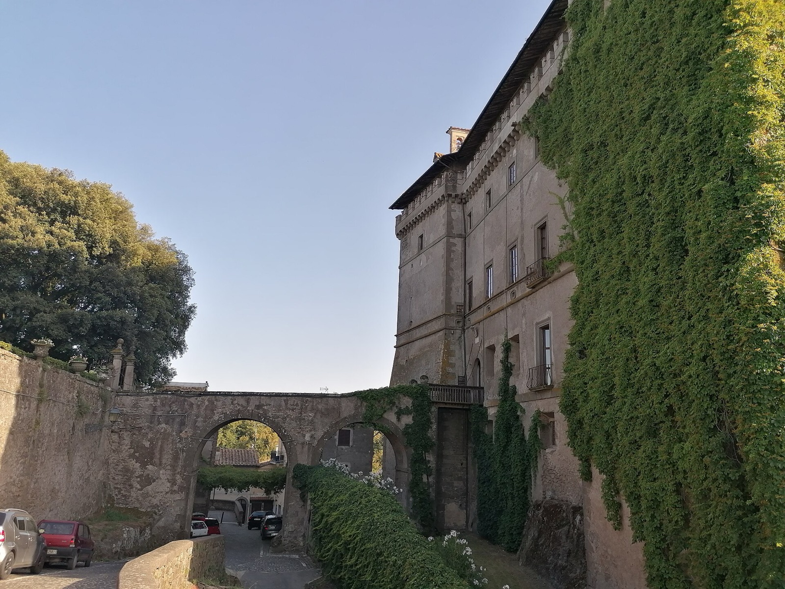 Vignanello