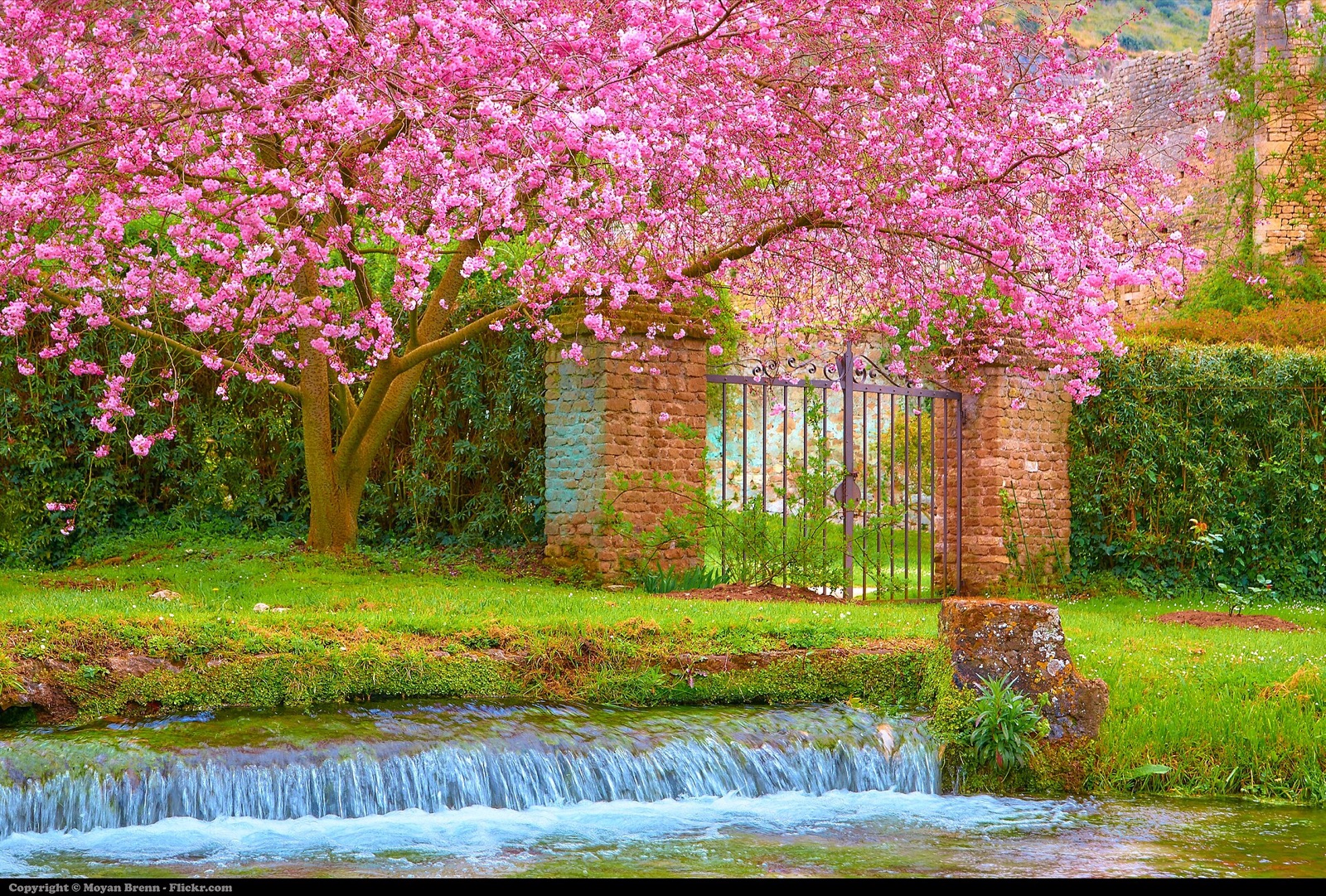 Giardino di Ninfa