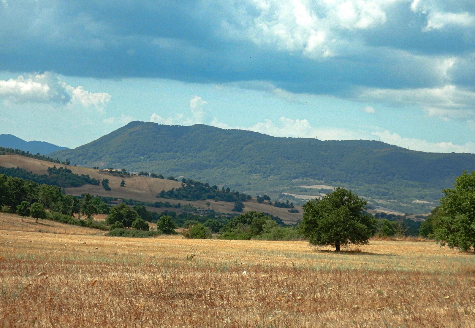 Ser Pepe — Organic Estate
