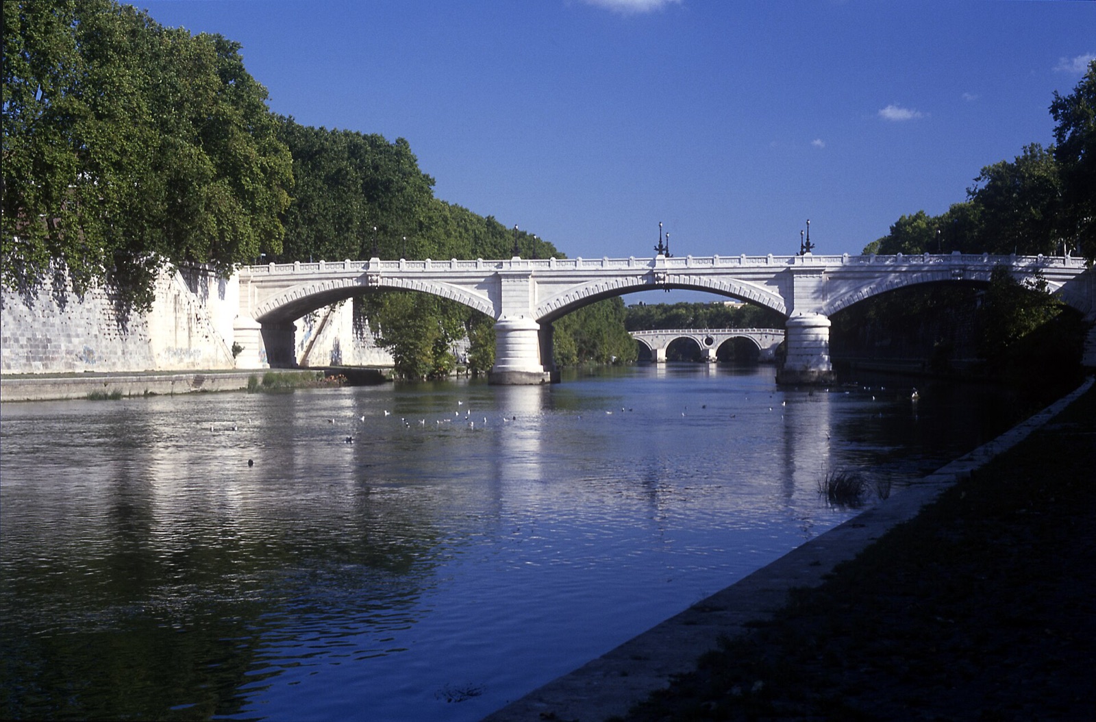 The Tiber — Boat Trip to Ostia