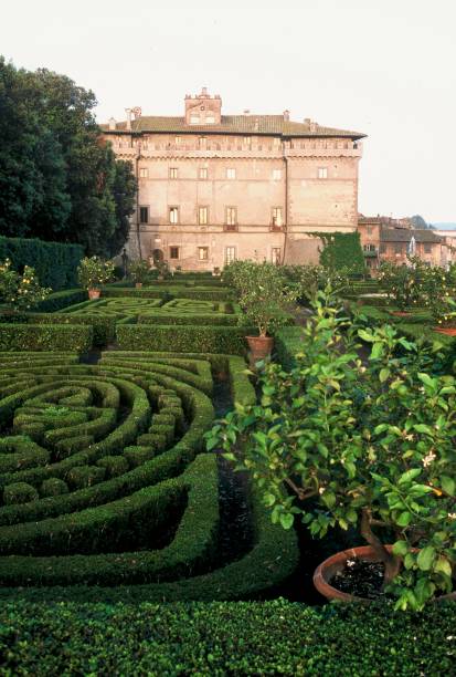 Vignanello - Image 3